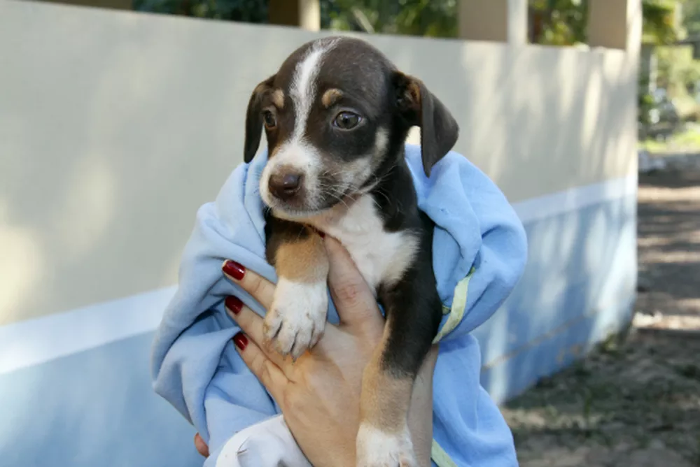 Foto: Luiz Alves - Secom Cuiabá